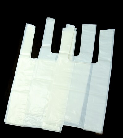 Glossary Bag